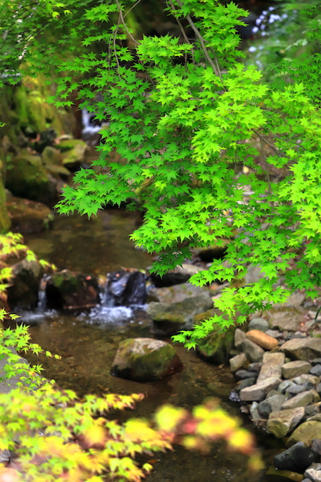 京都 大原 三千院