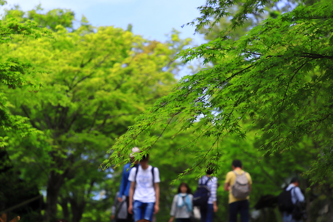 京都 大原 三千院