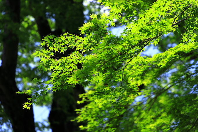 京都 北野天満宮