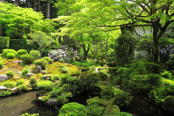 京都 大原 三千院