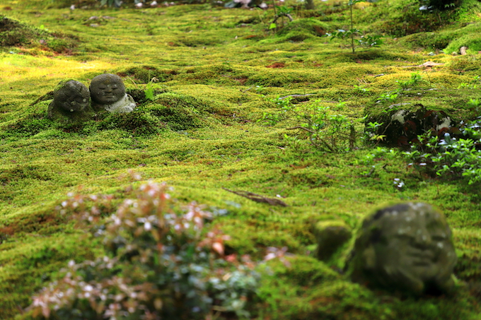 京都 大原 三千院