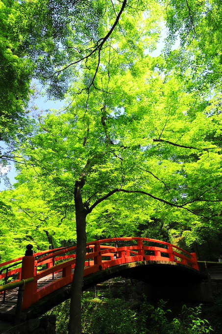 京都 北野天満宮