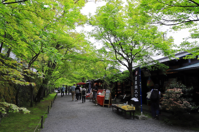京都 大原 三千院