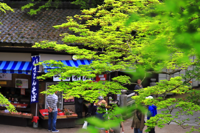 京都 大原 三千院