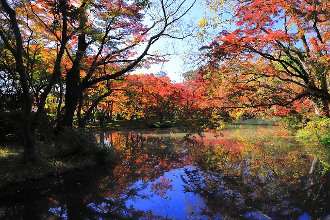 京都府立植物園　紅葉