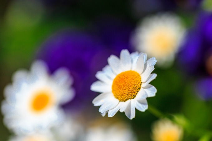 うめきたガーデン