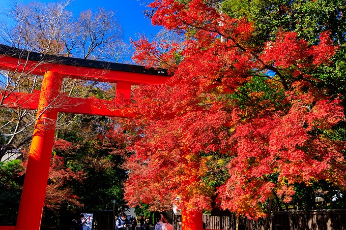 下鴨神社