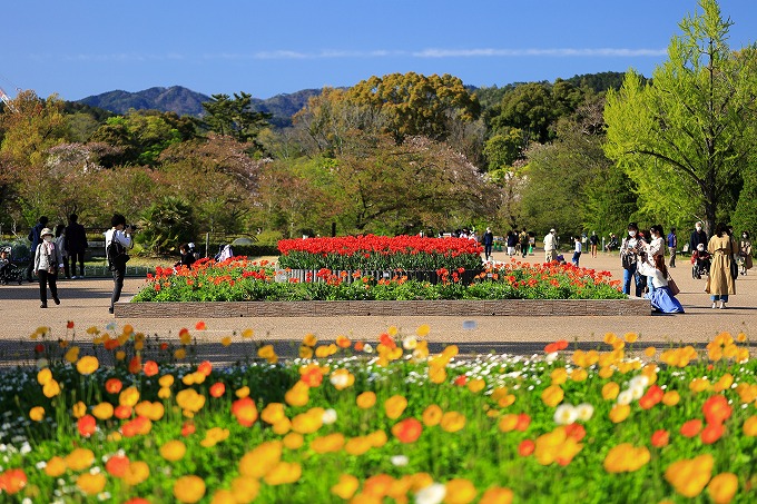 京都府立植物園