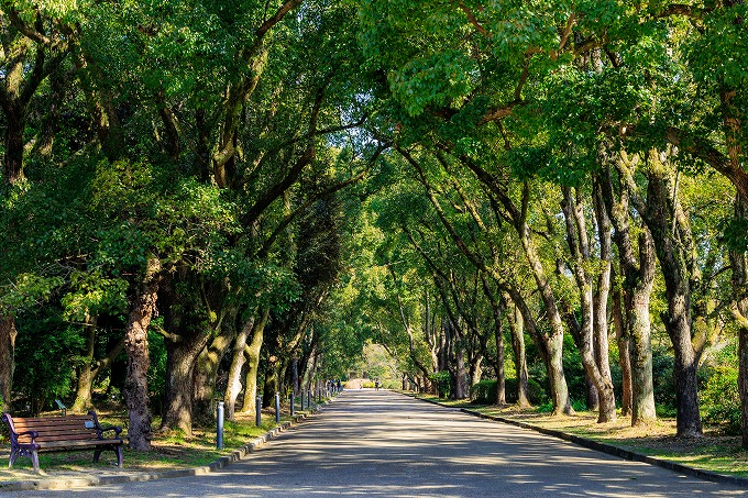 京都府立植物園