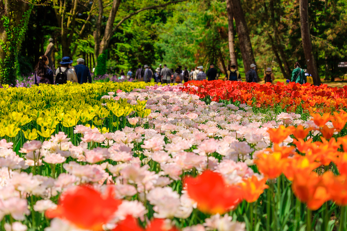 京都府立植物園
