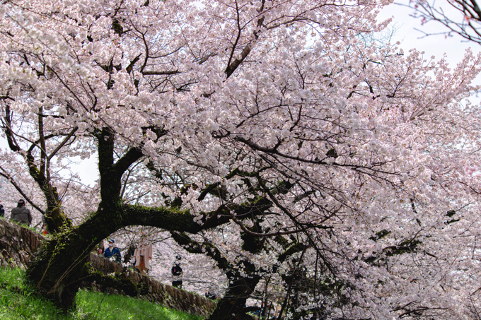京都 蹴上インクライン