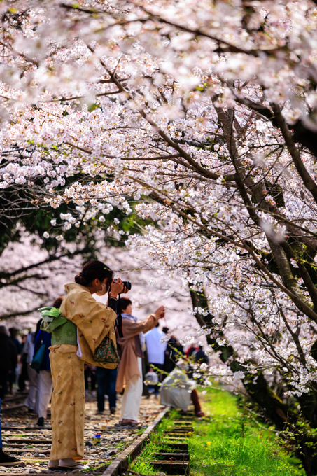 京都 蹴上インクライン