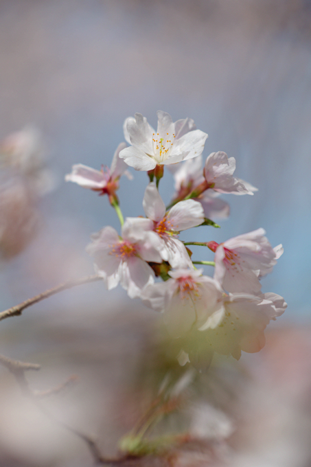 京都 蹴上インクライン