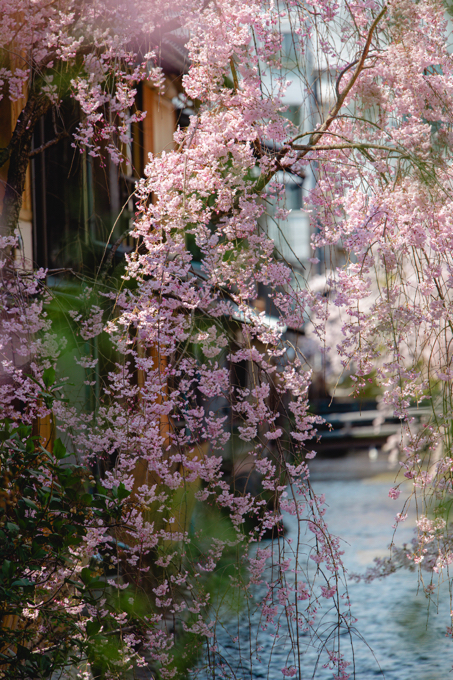 祇園 白川 巽橋