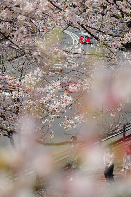 京都 蹴上インクライン