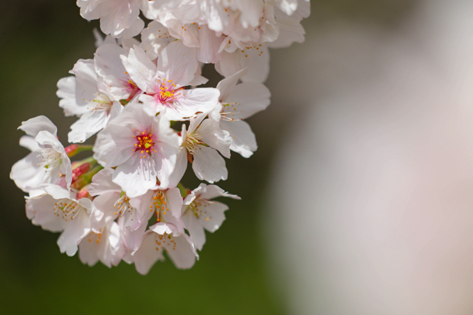 京都 蹴上インクライン