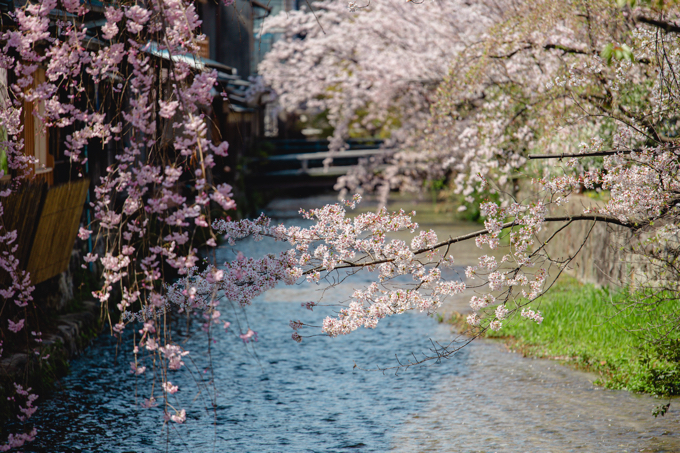 祇園 白川 巽橋