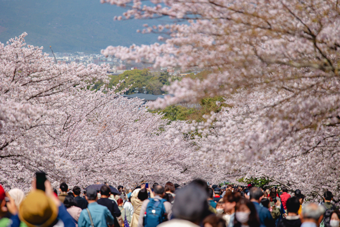 京都 蹴上インクライン