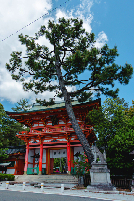 紫野 今宮神社