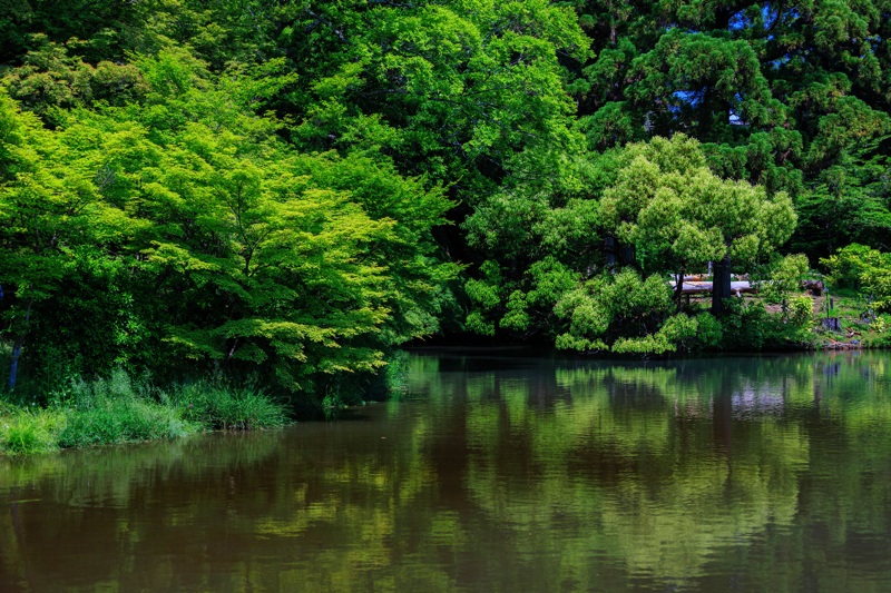 京都府立植物園