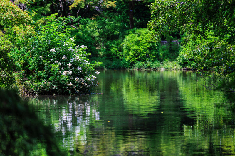 京都府立植物園