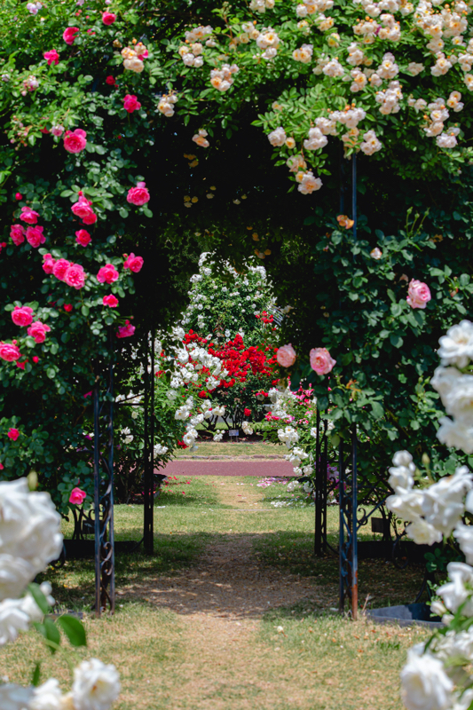 京都府立植物園