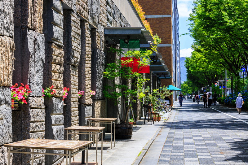 進々堂 御池店　紫陽花